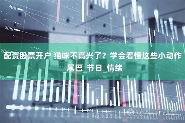 配资股票开户 猫咪不高兴了？学会看懂这些小动作_尾巴_节日_情绪